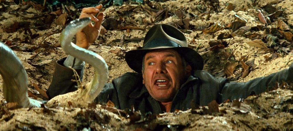Indiana Jones et le royaume du crâne de cristal 